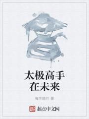 太极高手在异世