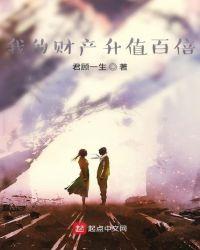我的财富深