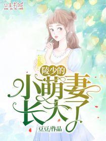 陵少爷甜蜜宠妻日常叶念