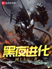 黑夜进化传说