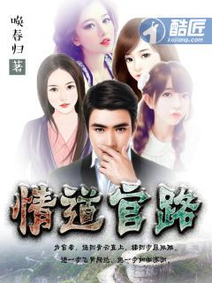 情道官路电子书