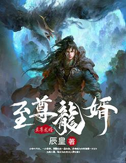 至尊龙婿叶辰最新