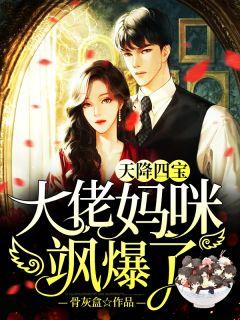 天降四宝 金主爹地是大佬