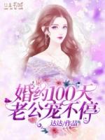 宠妻100天夜少