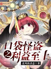 口袋妖怪怪盗的谜题