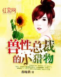 兽性总裁的小猎物 夜晚歌