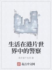 生活在港片世界中的警察飞卢