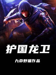 护国龙婿全文简介