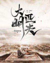 大明匹夫txt