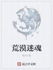 荒漠迷城所有点位
