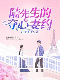 陆先生的夺心妻约书包网