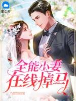 全能小毒妻游戏