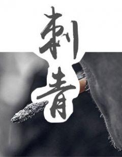 苏扬叶慧云主角的文章
