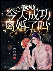 先生今天成功离婚了吗by