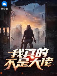 我真的不是大佬无限