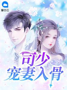 司少宠妻入骨全文免费阅读