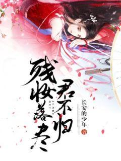 残妆落尽君不归长安的少年