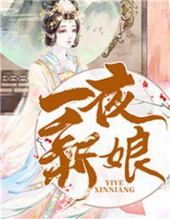 一夜新娘的叫什么