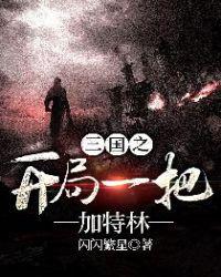 三国之开局一把加特林易读网