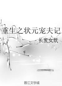 状元家的小夫郎