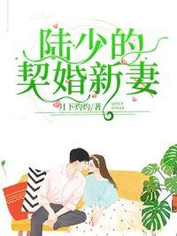 陆少的新婚暖婚