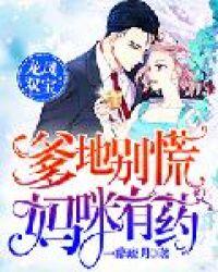 龙凤双宝爹地别慌妈咪有药正版