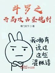 斗罗之开局魂圣修为的