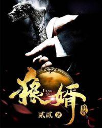霸婿崛起畅听