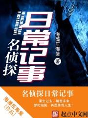 名侦探手记二