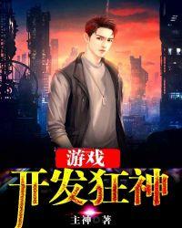 个人开发的游戏