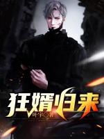 狂少归来陈凡