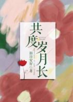 共度岁月长旧月安好章节完整