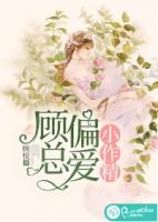 墨总的小娇
