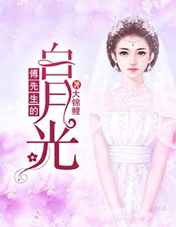 傅先生的白月光无弹窗