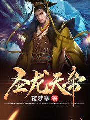 帝龙圣尊怎么打