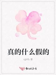 真的什么假的第二部