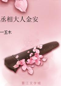 丞相大人金安一玉木