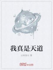 我真是天道下架原因