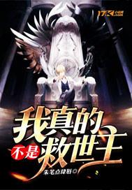 我真的不是救世主解析