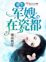 重生在军嫂身上的年代文