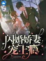 闪婚娇妻花样宠阅读