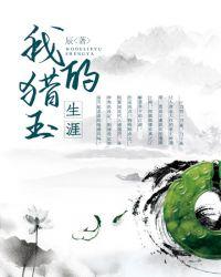 我的猎玉生涯在线阅读
