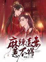 麻辣鲜妻医见倾心结局