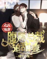 亿万婚宠腹黑总裁追甜妻鲤于