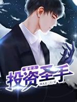 重生之投资圣手TXT精校