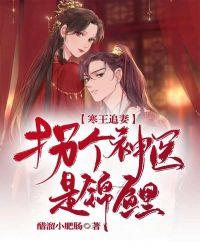 寒王冷妻
