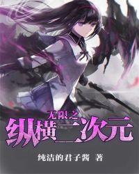 纵横二次元