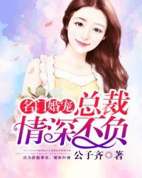 豪门总裁的小野猫