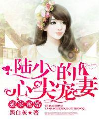 独家蜜婚陆少的心尖宠妻相似