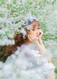 顾先生的宠妻日常读后感